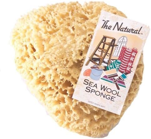 The Natural Sea Sponge, 8 to 9-Inch, Wool by The Natural
