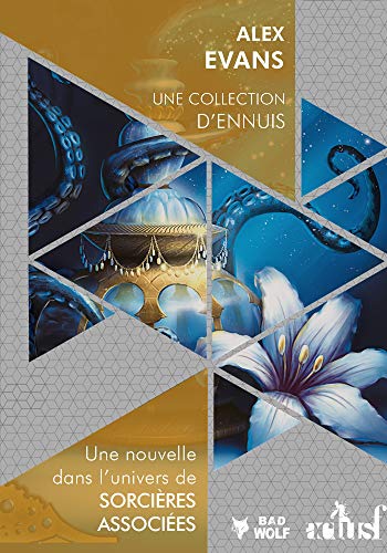 Télécharger Une collection d'ennuis PDF Ebook En Ligne