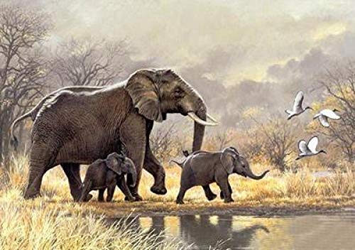 Diamant peinture 5D éléphant kit complet 40x50cm mosaïque