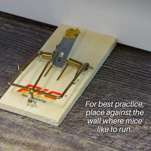 Image of PIC Wood Mouse Traps, 4 Count