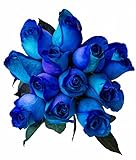 12 Stems - Fresh Cut Blue Lollipop Roses from Flower Explosion