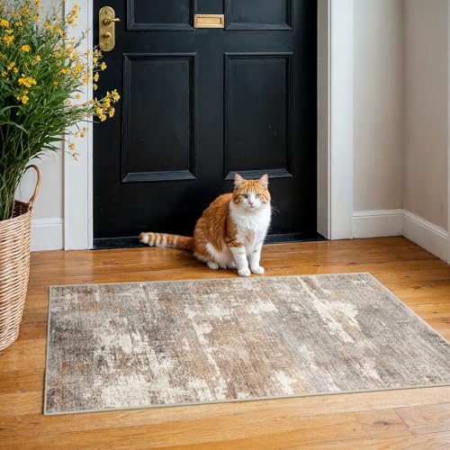 2x4 Runner Rug Washable Abstract: Non Slip Entryway Carpet Terracotta Brown