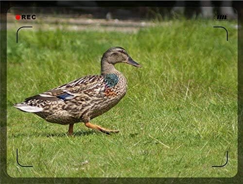 2X HD AF MF OPTICAL CONVERTER for Canon EF 70-200mm f/4L USM Lens = 140-400MM