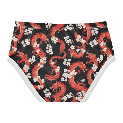 Joisal Bright Girls Underwear Toddler 2t Cotton Cute Panties Girl Red Dragon Flowers Briefs Girls Undies2