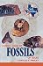 A Field Guide to Fossils of Texas (Gulf Publishing Field Guide Series)