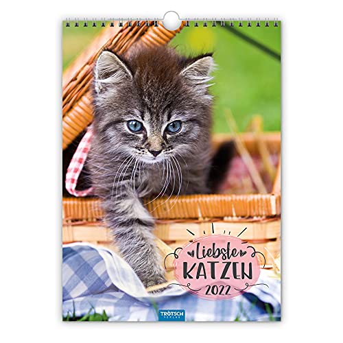 Preisvergleich Produktbild Trötsch Classickalender Liebste Katzen 2022: Wandkalender