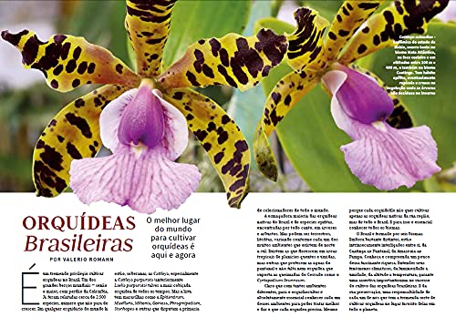 Mestre das Orquídeas - Volume 2: Orquídeas Brasileiras