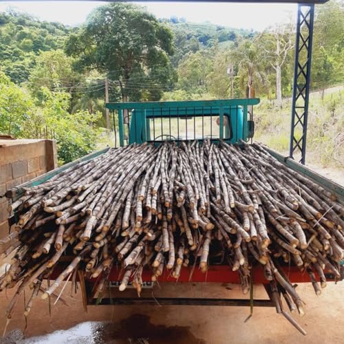 Cachaça Envelhecida Jequitibá Rosa 3 Anos Artesanal Premium - Vira o Santo 500ml