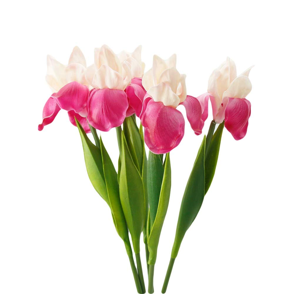 Angel Isabella Pack of 4-Real Touch Artificial Bearded Iris Flowers 16" -Artificial Flowers for Decoration in Wedding Flowers Bouquets, Flower Vases, Arrangements, & Centerpieces(Blush Begonia)