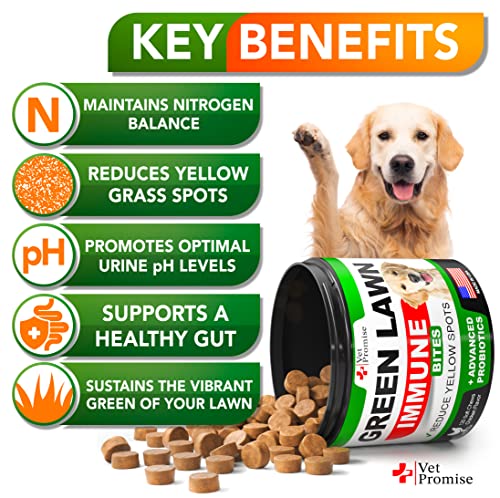 Grass Burn Spot Chews for Dogs - Dog Urine Neutralizer for Lawn - 120 Grass Green Dog Chews - Grass Savers for Dog Urine - Dog Pee Grass Neutralizer with Probiotics - Digestive Enzymes - Made in USA - Thumbnail 3