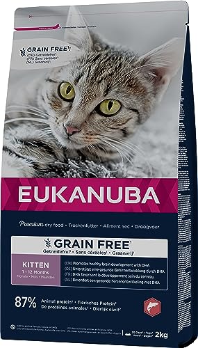 Eukanuba Junior Katzenfutter trocken getreidefrei - Premium Trockenfutter mit viel Lachs für Kitten, 2 kg