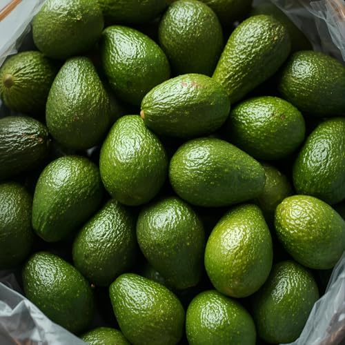 Fresh Avocado, 500 g