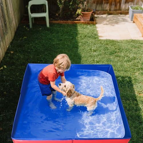 Hundepool Katzenpool Mit 6 Fischen Spielzeug, 50x50x10cm Hundebadewanne Faltbare Mini Hunde Pool Aus PVC, Planschbecken Hund, Schwimmbecken Für Kleine Hunde Katzen Haustiere (Rot)