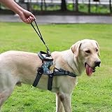 Zoom IMG-2 dispenser per sacchetti rifiuti domestici Zoom IMG-2 dispenser per sacchetti rifiuti domestici