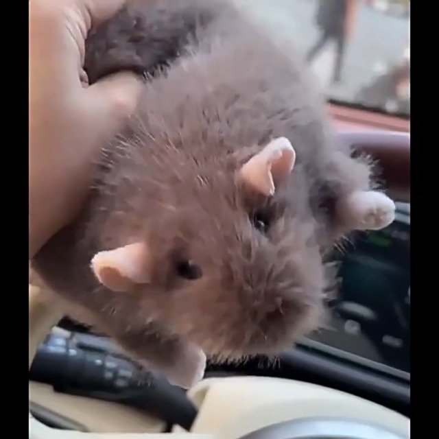 Soms Heb Je Alleen Maar Een Knuffel Van De Juiste Persoon Nodig. Een