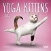 Yoga Kittens 2019 7 x 7 Inch Monthly Mini Wall Calendar, Animals Humor Kitten (Multilingual Edition)