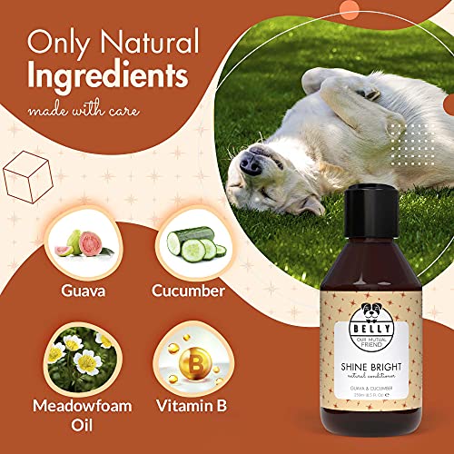 Belly - Veganer Hundeshampoo & Conditioner für Hunde - 250ml - Fellpflege, Hunde Conditioner gegen Geruch, Hundeshampoo für Langhaarhunde & Welpen