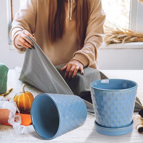 Image of EFISPSS Plant Pots,5 Inch Pots for Indoor Plants,Planters with Drainage Hole and Saucer, Ceramic Flower Pots Desktop Office Windowsill Decoration Gift Set of 4 - Sky Blue
