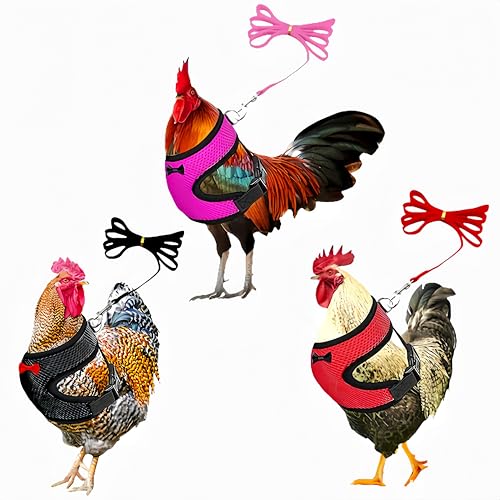 Image of 3 Pack Chicken Harness and Leash Set Adjustable Hen Vest with Matching Belt Breathable Mesh Training Harness Pets Leash for Hens Duck Goose Small Pet-Black&Red&Pink,S