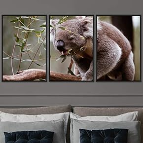 signwin 3 Piece Framed Canvas Wall Art Cuddle...