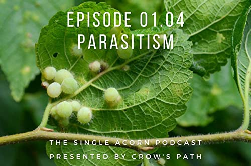 01.04 – Parasitism cover art
