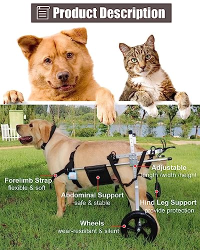 Fauteuil roulant pour chiens paralysés solution handicap pattes arrières