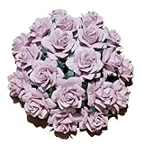 Wild Orchid Crafts
