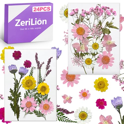 Set de flores prensadas reales 24 piezas para manualidades miniatura 1