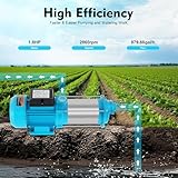 Zoom IMG-2 pompa da giardino a 5 Zoom IMG-2 pompa da giardino a 5