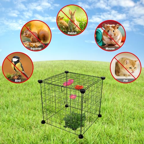 Chicken Wire Plant Protectors for Gardens: Openable Top, Animal-Resistant, 3Packs