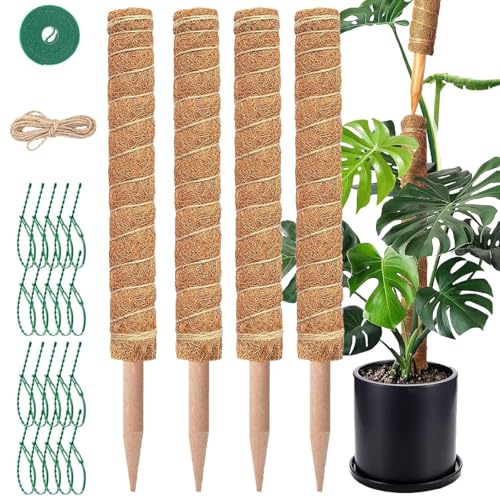 4 Pezzi Bastoni Muschio 42 cm - Palo di Muschio - Supporto Estensibile in Fibra di Cocco per Piante Rampicanti con Corda di Iuta, Chiusura a Strappo e Fascette a Spina per Monstera e Altre Rampicanti