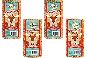 Mr. Bird Flaming Hot Feast Small Cylinder (Pack of 4)