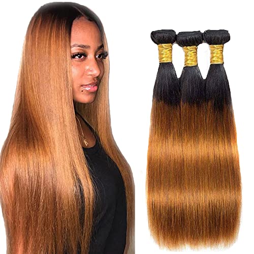 ZhengPu 1b/30 Ombre Bundles Straight Human Hair Two Tone Black to Brown Hair 3 Bundles Ombre Soft Brazilian Hair Bundles Virgin Hair Extensions Ombre Bundles Auburn(8 10 12)Inch