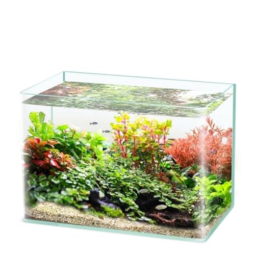 ガラス水槽 大型」の人気商品一覧 | 安い商品を通販サイトから探す