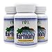 Institute for Vibrant Living Gluco Harmony, 60 capsules, Blood Sugar Maintenance - 3 Month Supply