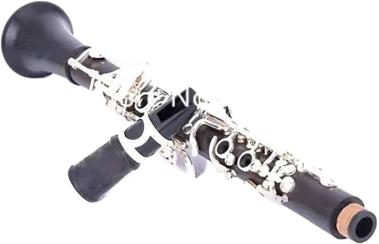 17key E Clarinet Ebony And Silver Keys With Case(Ebony)