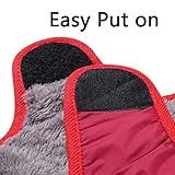 JoyDaog Hundemäntel mit Fleecekragen für kleine Hunde, wasserdichte, warme Welpenjacke aus Baumwolle für den kalten Winter, Rot XS