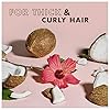 SheaMoisture Shampoo Curl and Shine for Curly Hair Coconut and Hibiscus Paraben Free Shampoo 13 oz