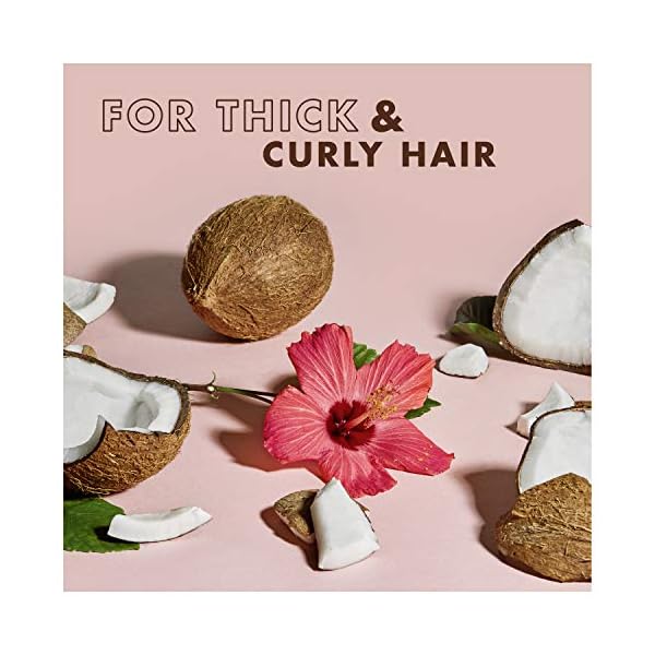 SheaMoisture Shampoo Curl and Shine for Curly Hair Coconut and Hibiscus Paraben Free Shampoo 13 oz