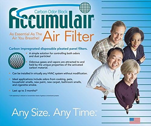 FO20X20X2-RPN Air Purifier Carbon Filters Pack of 2