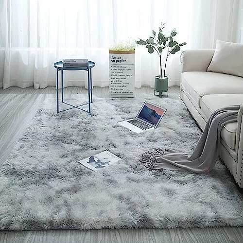 Washable Fluffy Rug, 40x60CM Extra Thick 3.0 cm Rectangular Rug Mat, Absorbent Non-Slip Carpet for Bedside, Sofa, Porch, Entrance. (Washed Gray)