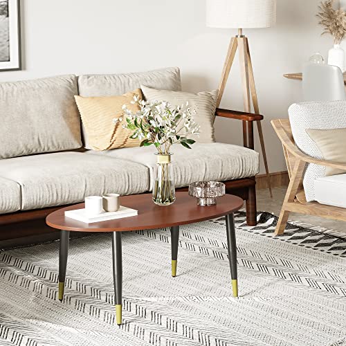 HOMCOM Table Basse Table d'appoint Ovale multifonctionnelle dim. 100 x 60 x 42 cm Aspect Teck foncé – Image 3