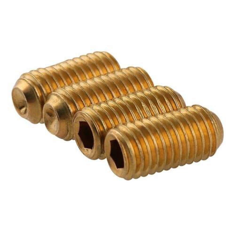 Set viti metriche M6 x 1,0 in ottone massiccio punta a tazza Set viti metriche M6 x 1,0 in ottone massiccio punta a tazza
