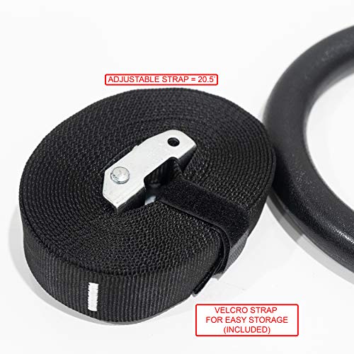 Valor Fitness Gra-2 Abs Plastic Gymnastic Rings With Adjustable Straps (Set Of 2) – Promotes Muscular Physique And Improves Performance In Cross Training, Gymnastics, And Strength Training #TOP5