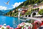 1000 piece jigsaw puzzles for adults -Lakeside in Bloom Puzzle for Adults - Recycled Paper Jigsaw Puzzle 1000 Pieces - Fun, Challenging & Difficult Family Game Great Gift Idea, 70 * 50cm