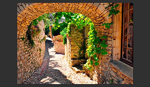 Fotomurale murando Carta da parati 300x210 cm TNT