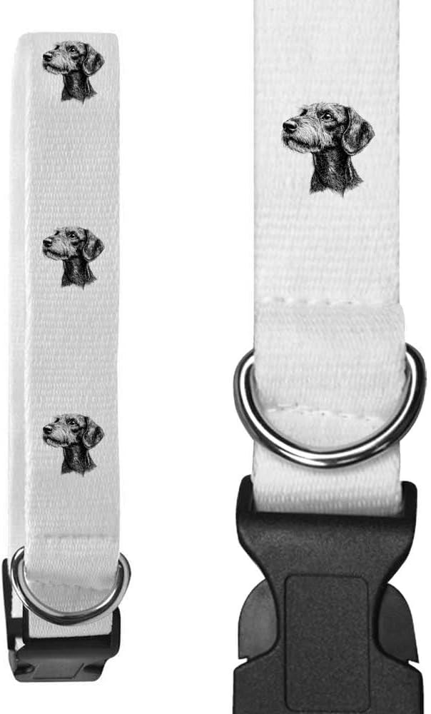 Azeeda Large 'Standard Wire-haired Dachshund' Dog Collar (PR00061142)