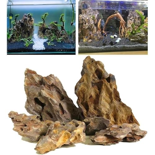 SLLS VRCE΃Zbg Ր΁EIΓ ANAEeEɍœK RCAEgpVR K[fjOrIg[vɂ