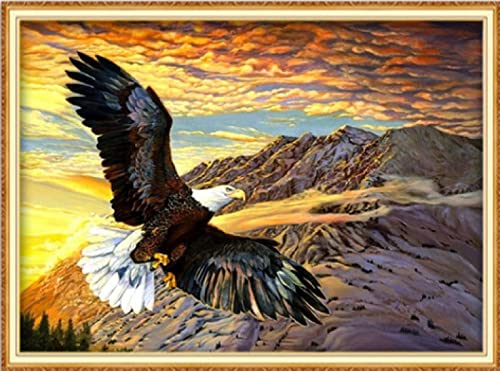 Kit de pintura de diamante 5D de águila marina (30x40cm) con taladro completo para decoración