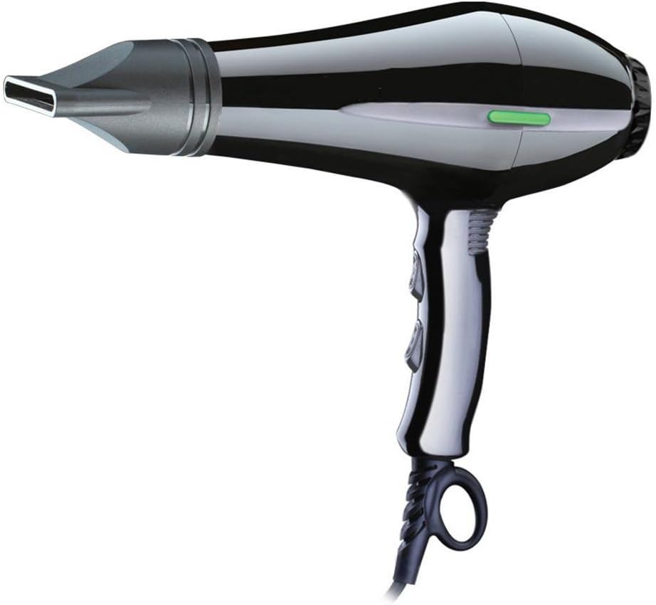 Professional Hair Blow Dryer 1600 W Black Heat Speed Blower Dry Watt F818